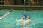 Swimming vs Bentley  Wheaton College Swimming & Diving vs Bentley College. - Photo by Keith Nordstrom : Wheaton, Swimming & Diving